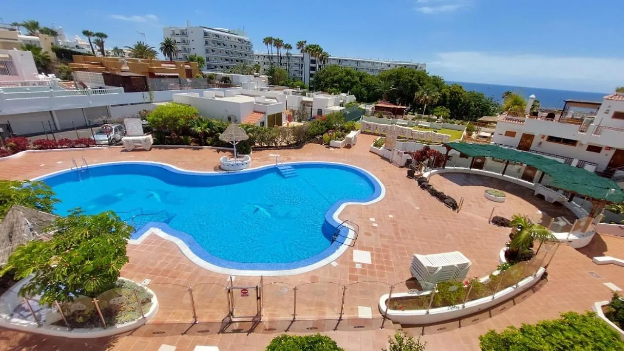 First Line Los Geranios Ocean View Apartment Air Conditioned 50 M From La Pinta Beach Costa Adeje