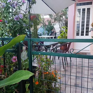 https://napier-apartment.kefaloniahotels.net