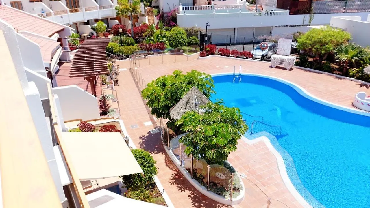 First Line Los Geranios Ocean View Apartment Air Conditioned 50 M From La Pinta Beach Costa Adeje   Costa Adeje (Tenerife)